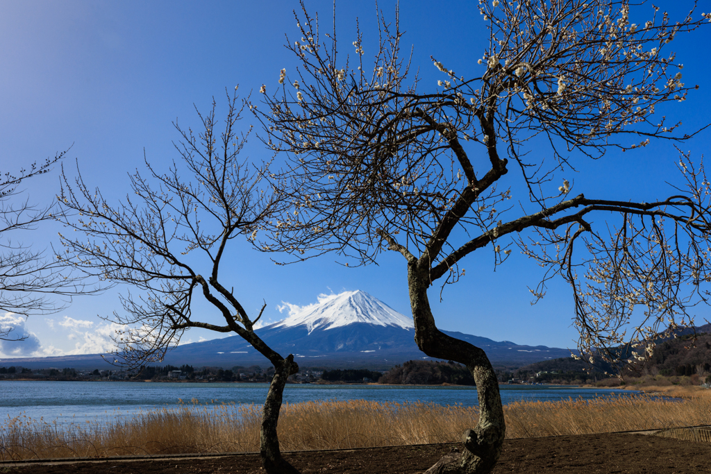 富士山用フレーム その２