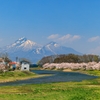 舟津川より 桜並木と磐梯山 その１