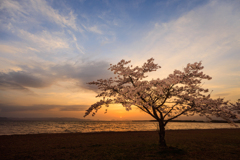 稲苗代湖　志田浜の夕焼け　その２