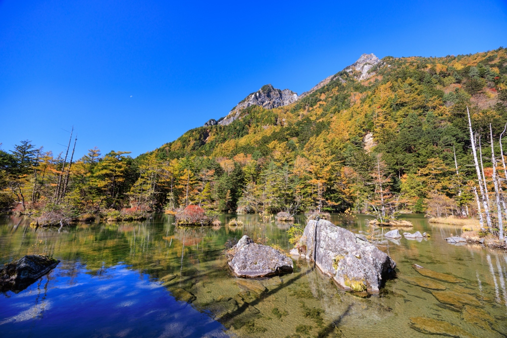 上高地おかわり 明神池二之池