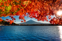今年は無理かな(^-^;　その４