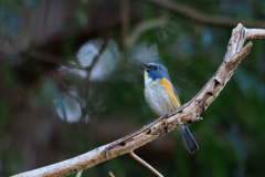 ただいまー＾＾