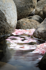 グルグルチャレンジ＾＾