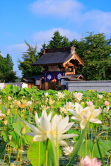 長照寺