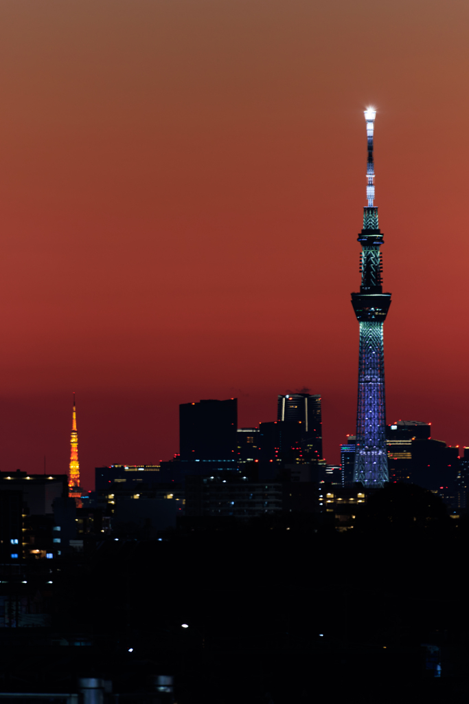 屋上より スカイツリー＆東京タワー その1