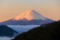 雲海従える朝焼け富士