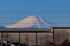 一応富士山も(^-^;