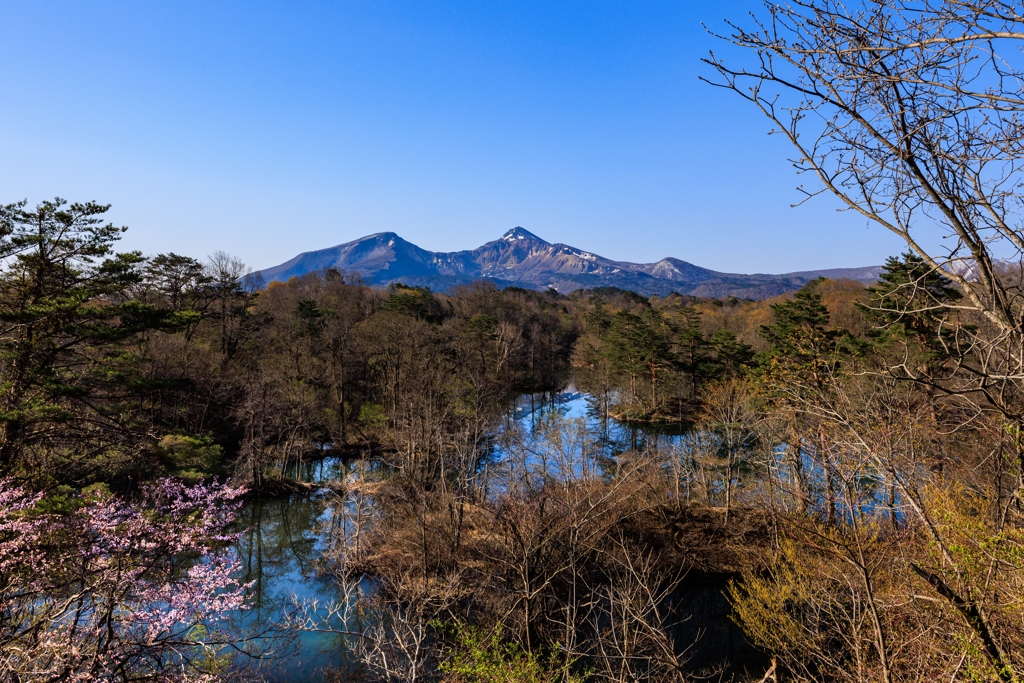 中瀬沼にて