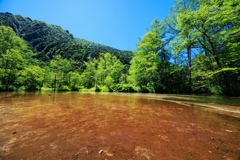 田代池