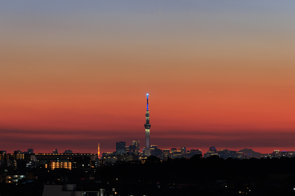 屋上より スカイツリーと東京タワー