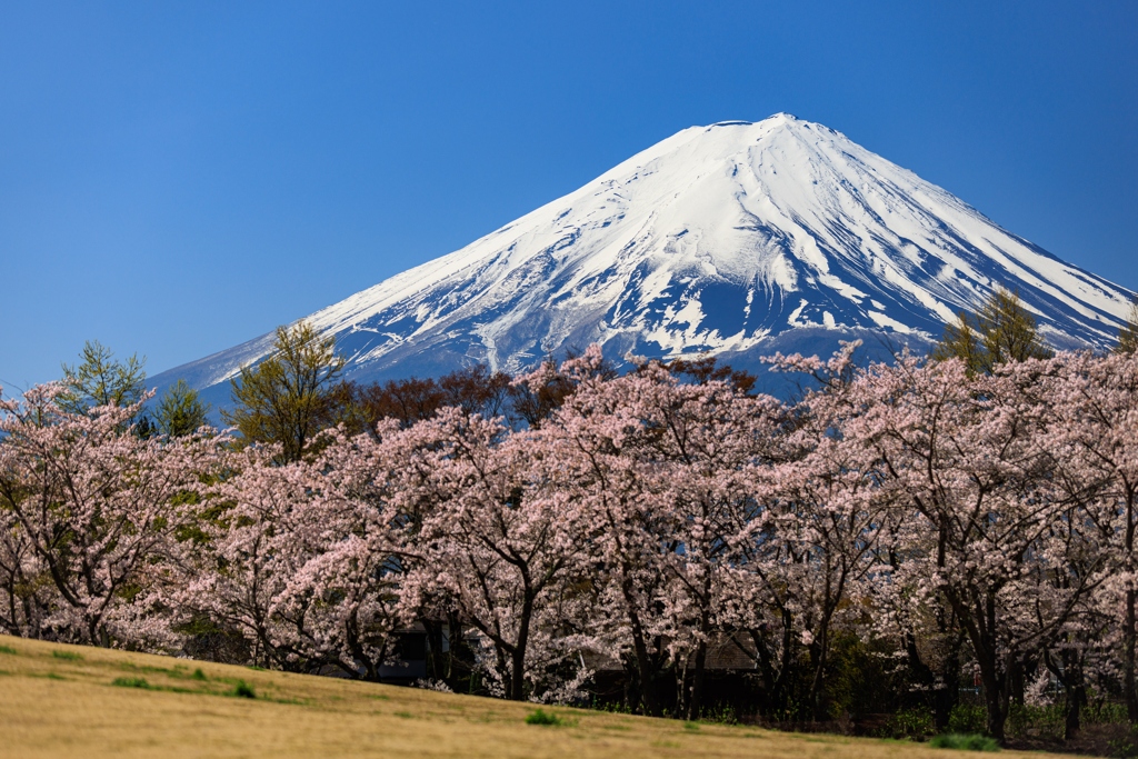 八木崎公園にて　その２