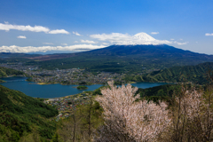 富士山と河口湖 サクラ添え