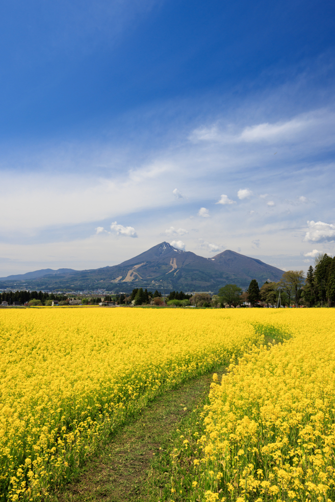 磐梯山への道