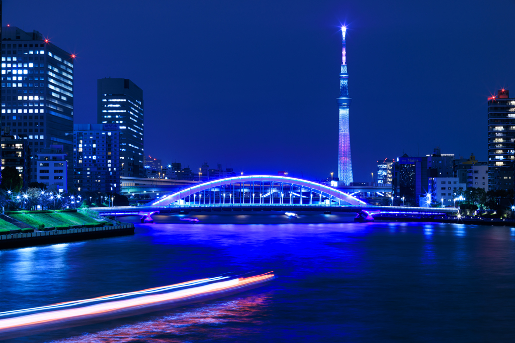 永代橋とスカイツリー