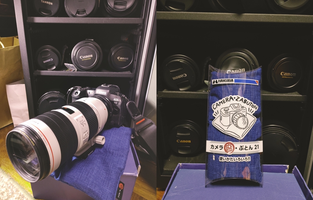 カメラ座布団～