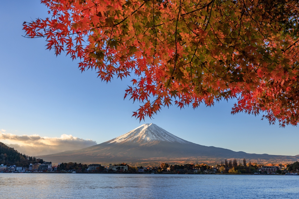 河口湖 朝焼け富士と紅葉