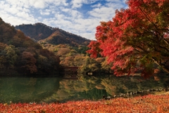 碓氷湖