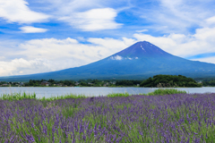 青空と富士山＆ラベンダー