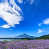 吸い寄せられる！？