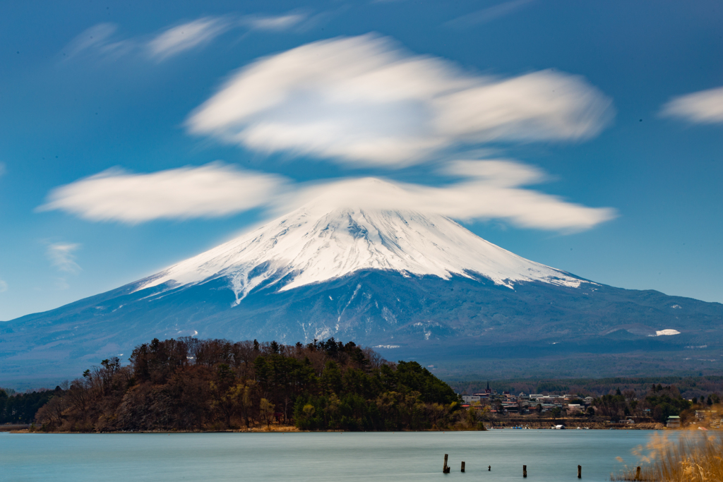 河口湖大石公園にて