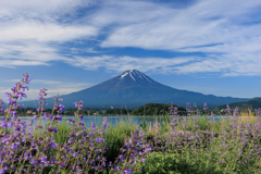 夏富士へと姿を変える