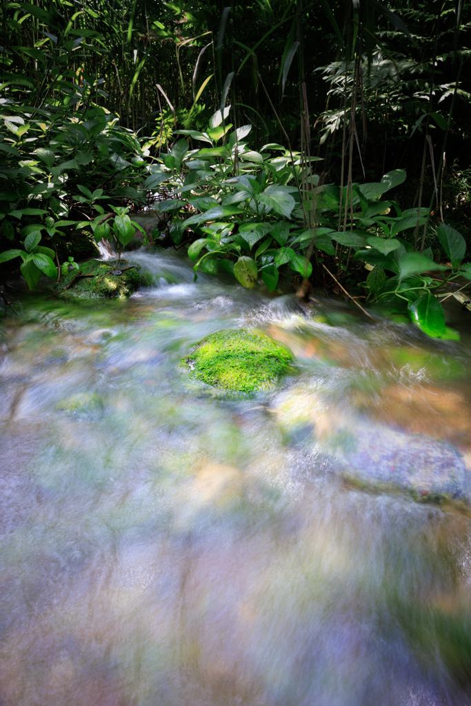 五色沼 清流