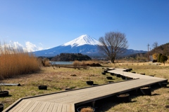 富士山への道＾＾