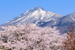 亀ヶ城公園 山頂に寄る