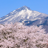 亀ヶ城公園 山頂に寄る