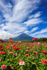 ジニアと富士山