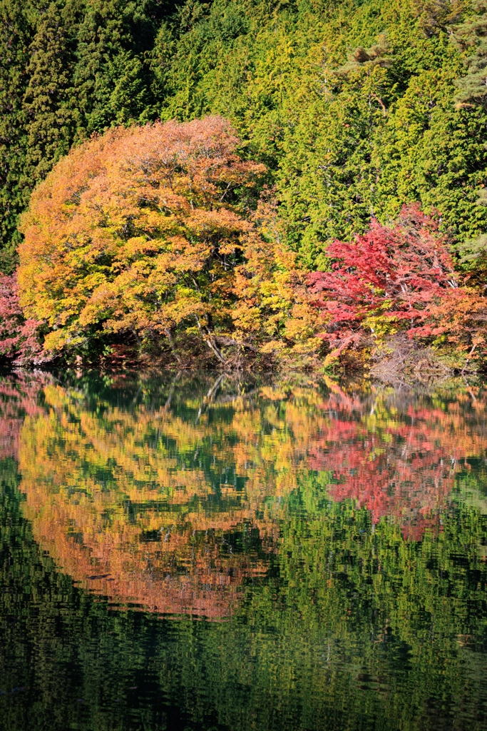水鏡