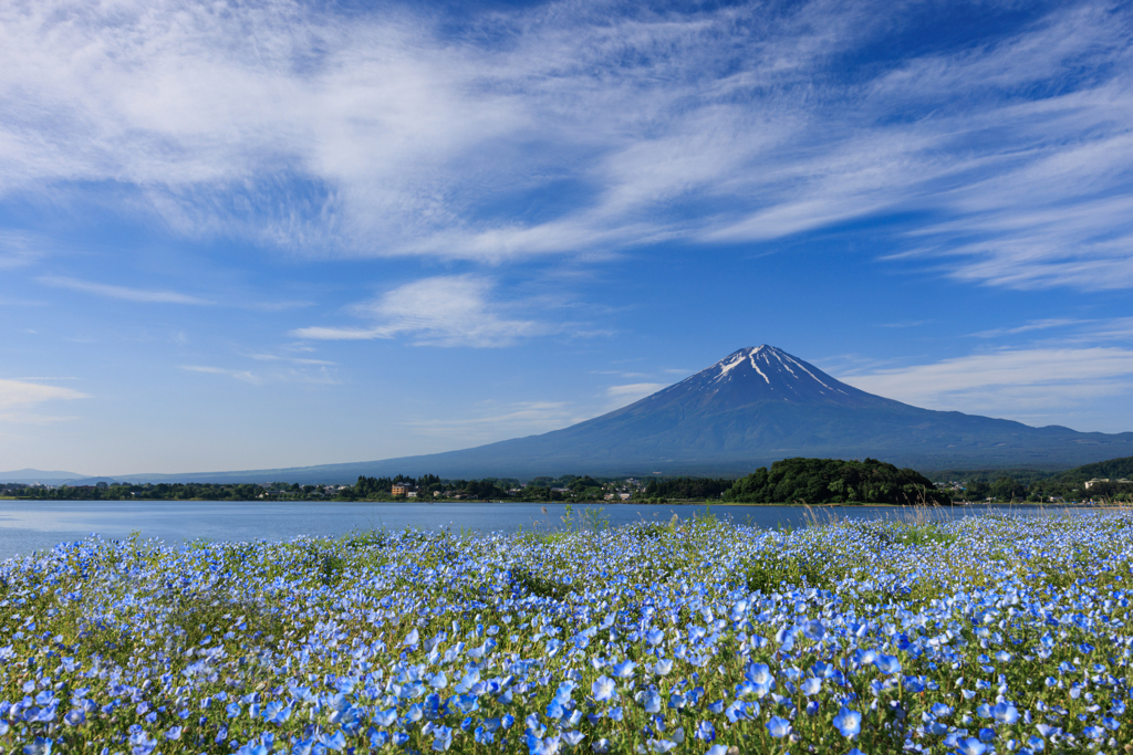 青に挟まれる富士 その１