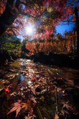 お写んぽ 水面スレスレ