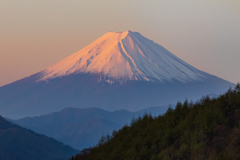 朝焼け富士　柳沢峠より
