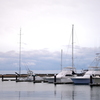 Yacht Harbor