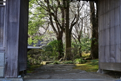 Japanese Garden over the Gate