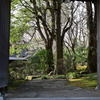 Japanese Garden over the Gate