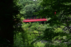 Red Bridge in Forest