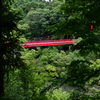 Red Bridge in Forest
