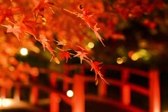 弥彦公園…紅葉谷