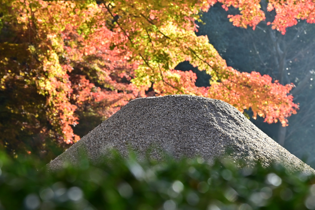 砂山と紅葉