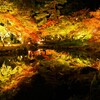 弥彦公園…リフレクション②