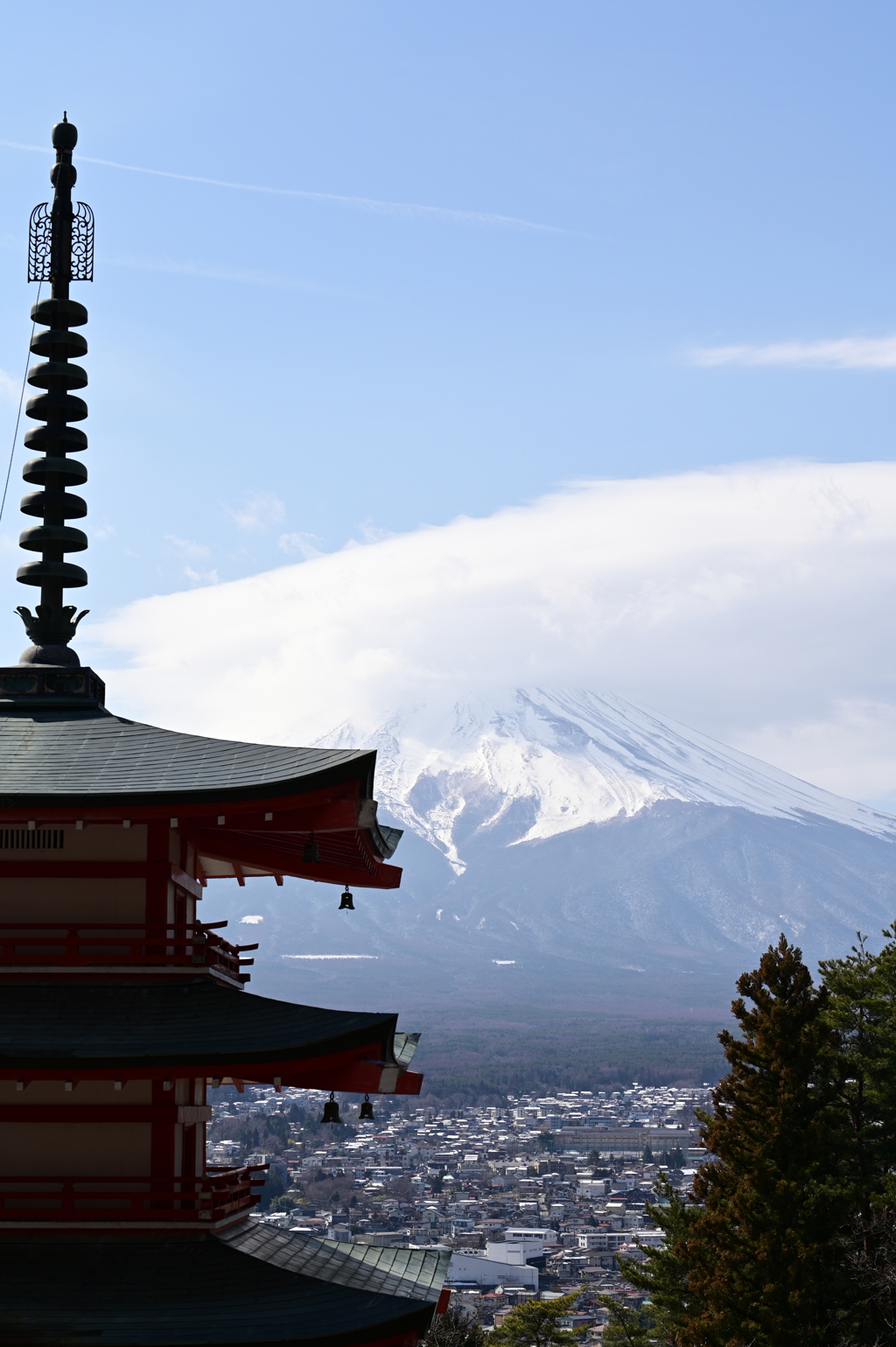 浅間神社からの富士山