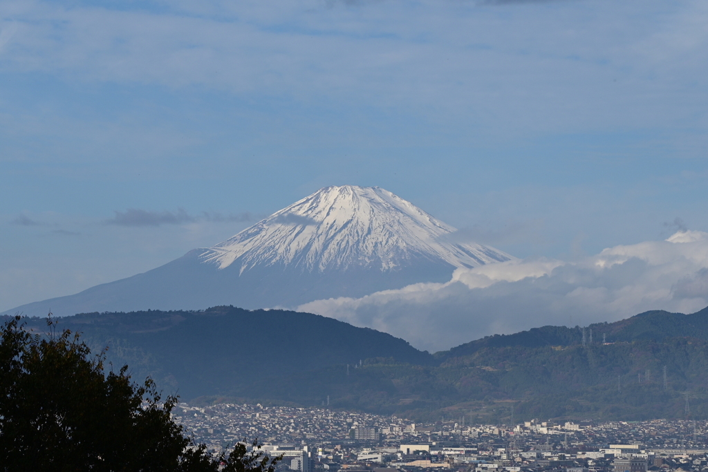秦野からの富士山
