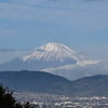 秦野からの富士山