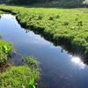 尾瀬沼…大江湿原