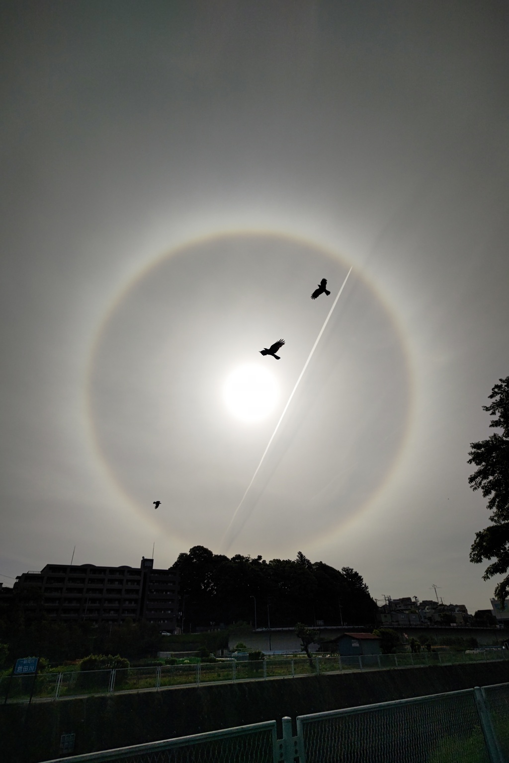 今日(20220511) 朝の太陽