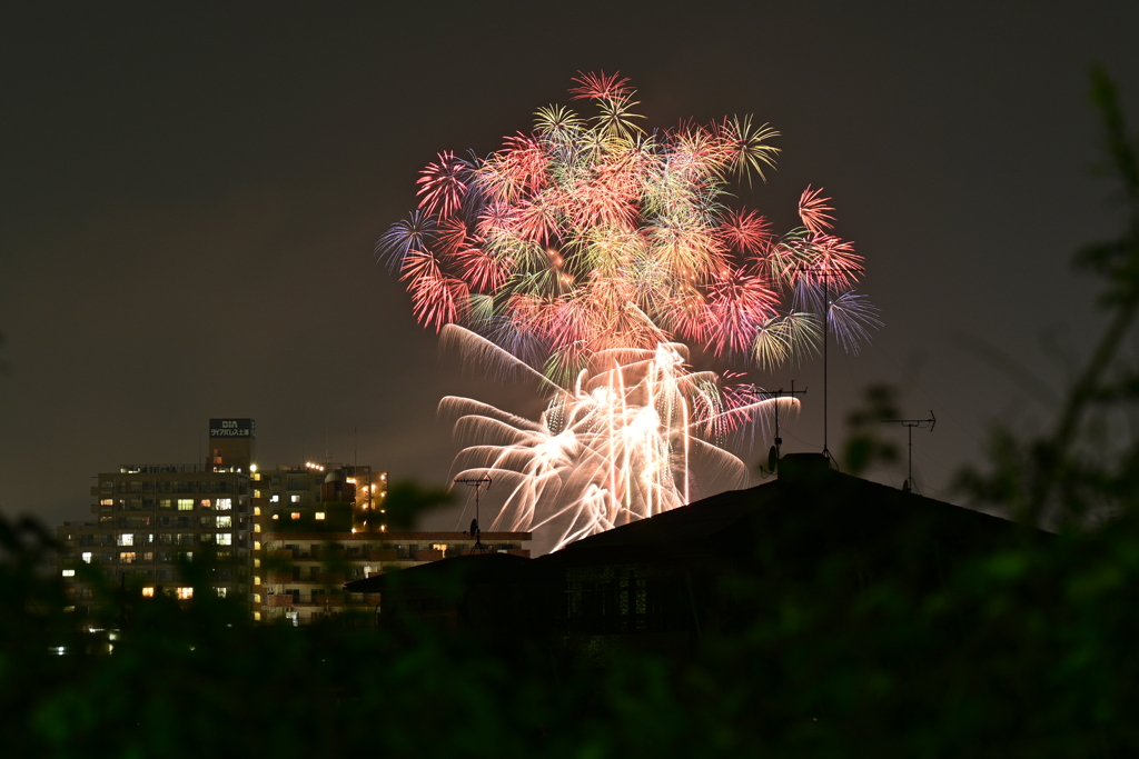 花火⑤