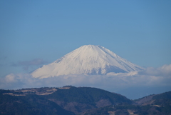 秦野からの富士山