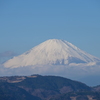 秦野からの富士山